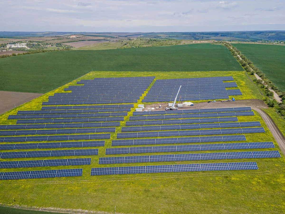 Planta solar extensa en un paisaje rural verde